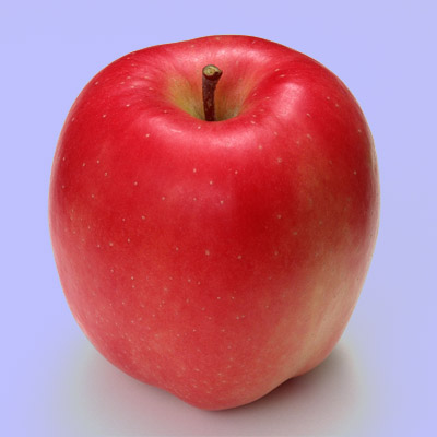 リンゴ型